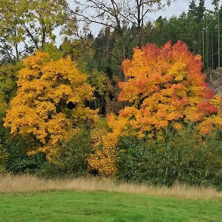 Alte Oelmuehle Im Og 