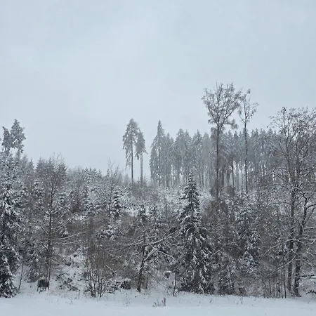 Alte Oelmuehle Im Og 