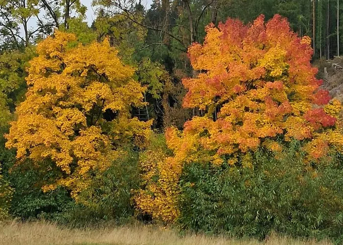 Alte Oelmuehle Im Og 