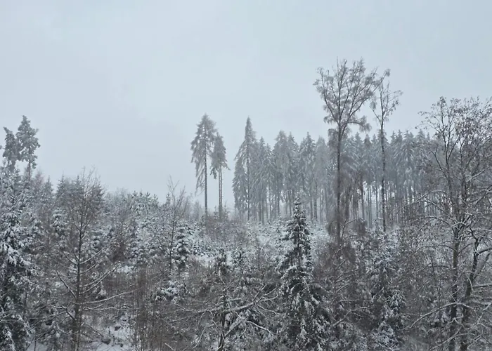 Alte Oelmuehle Im Og 